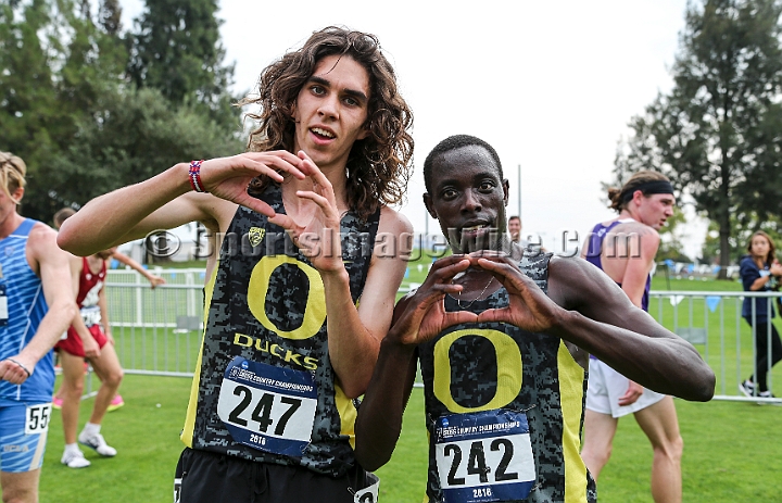2016NCAAWestXC-079.JPG - Edward Cheserek (242) of Oregon was first in 29:23.7 and Matthew Maton (247) second in 29:44.9 the NCAA West Regional cross country championships in 29:23.7 at Haggin Oaks Golf Course  in Sacramento, Calif. on Friday, Nov 11, 2016. (Spencer Allen/IOS via AP Images)